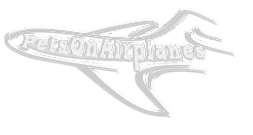 Pets on Airplanes   Video Series Pets on Airplanes   Video Series