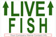 CUSTOM printed Live Fish with Arrows in GREEN