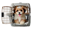 in cargo pet travel supplies