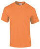 Ultra Cotton adult t-shirt