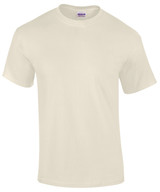 Ultra Cotton adult t-shirt