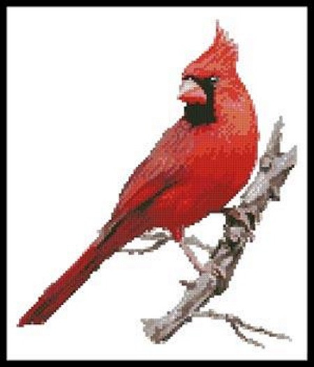 Cardinal Counted Cross Stitch Pattern