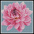 Mini Dahlia Counted Cross Stitch Pattern