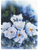 Watercolor Flowers Counted Cross Stitch Pattern - PDF Download