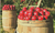 A Day in the Orchard Counted Cross Stitch Pattern - PDF Download