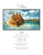 Misty Counted Cross Stitch Pattern - PDF Download 