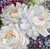 White Roses Letistitch Counted Cross Stitch Kit