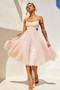 Got Glam Midi Dress - Blush | Sage and Paige AUS.