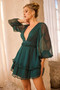 Evening Of Arts Mini Dress - Forest Green | Sage and Paige AUS.
