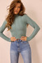 Shelly Wave Knit Top - Sage