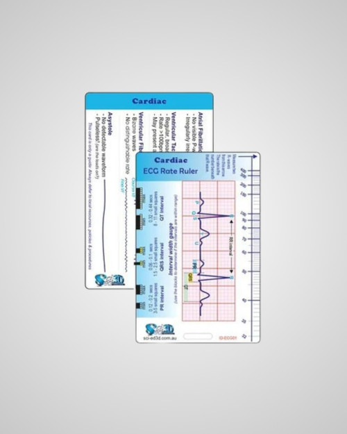 Sci-ed 3D Reference Card - Cardiac Ruler Card