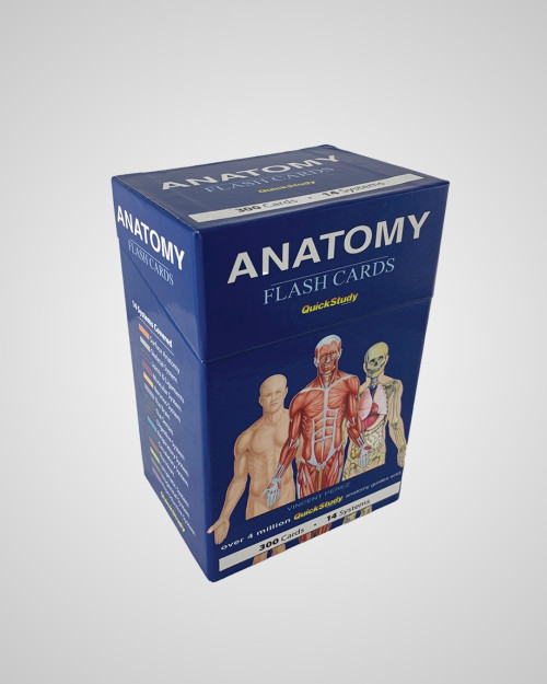 Anatomy Flash Cards