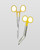 elitecare Curved Scissors and Forcep Combo