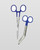 elitecare Curved Scissors and Forcep Combo