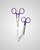 elitecare Curved Scissors and Forcep Combo