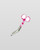 elitecare Curved Scissors - Pattern