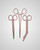 elitecare Scissors & Forcep 3 Pack - Metallic