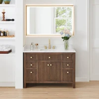Altair Cerrito 48" Free Standing Single Basin Vanity Set with Cabinet, Engineered Stone Vanity Top, and Framed Mirror
