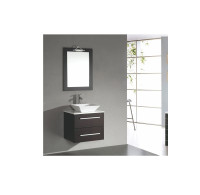 Royal Delray 24" Wall Mount Bathroom Vanity