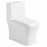 Crown Miami Fresh dual flush one piece toilet with chrome push-button and soft close seat Crown Miami Fresh dual flush one piece toilet with chrome push-button and soft close seat
