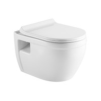 Bay wallmount toilet with in-wall carrier, dual flush, and elongated porcelain bowl