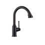 Hansgrohe Talis C 1.75 GPM Pull Down Kitchen Faucet HighArc Spout with Magnetic Docking Spray Head and Locking Diverter