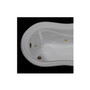 WaterTech Combination Bathtub C7441