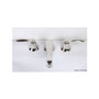 Cavalli Ellica Widespread Lavatory Faucet