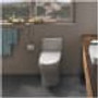 TOTO Aquia IV 0.9 / 1.28 GPF Dual Flush One Piece Elongated Chair Height Toilet with Push Button Flush Bidet Seat Included - Cotton - MW6463056CEMFGNA#01