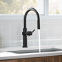 Kohler Crue 1.5 GPM Single Hole Pull Down Kitchen Faucet - Includes Escutcheon - Matte Black Kohler Crue 1.5 GPM Single Hole Pull Down Kitchen Faucet - Includes Escutcheon - Matte Black