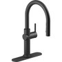 Kohler Crue 1.5 GPM Single Hole Pull Down Kitchen Faucet - Includes Escutcheon - Matte Black
