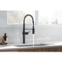 Kohler Crue 1.5 GPM Single Hole Pre-Rinse Pull Down Kitchen Faucet - Includes Escutcheon - Matte Black