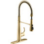 Kohler Simplice 1.5 GPM Single Hole Pre-Rinse Pull Down Kitchen Faucet - Includes Escutcheon - Vibrant Brushed Moderne Brass