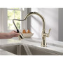 Delta Cassidy Pull-Down Kitchen Faucet with Magnetic Docking Spray Head and ShieldSpray - Includes Lifetime Warranty - Lumicoat Polished Nickel