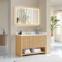 Altair Cecil 48" Free Standing Single Basin Vanity Set with Cabinet and Engineered Stone Vanity Top