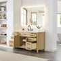 Wyndham Collection Beckett 60" Free Standing Single Basin Vanity Set with Cabinet and Quartz Vanity Top for Widespread Faucets