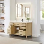 Wyndham Collection Beckett 54" Free Standing Single Basin Vanity Set with Cabinet and Quartz Vanity Top for Single Hole Faucets