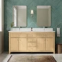 Wyndham Collection Rian 72" Free Standing Double Basin Vanity Set with Cabinet and Quartz Vanity Top