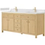Wyndham Collection Rian 72" Free Standing Double Basin Vanity Set with Cabinet and Quartz Vanity Top