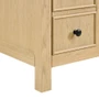 Wyndham Collection Rian 72" Double Free Standing Vanity Cabinet Only - Less Vanity Top