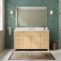 Wyndham Collection Rian 60" Free Standing Single Basin Vanity Set with Cabinet and Quartz Vanity Top