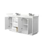 Wyndham Collection Icon 66" Free Standing Double Basin Vanity Set with Cabinet and Quartz Vanity Top
