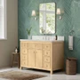 Wyndham Collection Rian 48" Free Standing Single Basin Vanity Set with Cabinet and Quartz Vanity Top