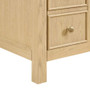Wyndham Collection Rian 84" Double Free Standing Vanity Cabinet Only - Less Vanity Top