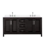 Wyndham Collection Daria 72" Free Standing Double Basin Vanity Set with Cabinet and Quartz Vanity Top