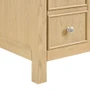 Wyndham Collection Rian 60" Double Free Standing Vanity Cabinet Only - Less Vanity Top