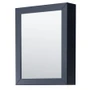 Wyndham Collection Daria 36" Free Standing Single Basin Vanity Set with Cabinet, Quartz Vanity Top, and Medicine Cabinet