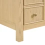 Wyndham Collection Rian 36" Single Free Standing Vanity Cabinet Only - Less Vanity Top