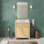 Wyndham Collection Rian 30" Free Standing Single Basin Vanity Set with Cabinet and Quartz Vanity Top