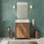 Wyndham Collection Rian 30" Free Standing Single Basin Vanity Set with Cabinet and Quartz Vanity Top